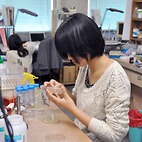 <span class="qrinews-figure-title">2012年12月21日 学部4年の甲木さん</span>　酵母を用いたリン脂質を研究しています。（撮影場所：<a href="http://www.scc.kyushu-u.ac.jp/Seitaijouhou/index.html" target="_blank">生体情報化学研究室</a>）