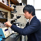 <span class="qrinews-figure-title">2013年2月13日 修士2年の板谷さん</span>　マウスの脳の左右の違いを研究しています。（撮影場所：<a href="http://seibutsu.biology.kyushu-u.ac.jp/~neurosci/" target="_blank">生体物理化学研究室</a>）