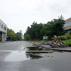 <span class="qrinews-figure-title">2015年8月25日 台風15号</span>　夜中は強い風が吹いていましたが、今（午前9時頃）は平和な雰囲気です。尚、本日予定されていた理学府の院試は明日からの実施に変更されました。（撮影場所：<a href="http://maps.google.co.jp/maps?q=33.626616,130.424953" target="_blank">理学部本館辺り</a>）