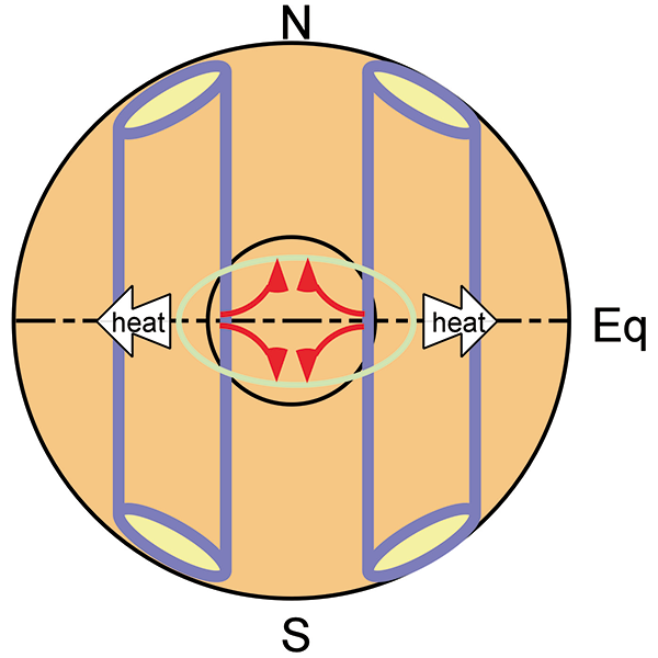 外核の対流によって誘導される内核内部の流れ。外核のロール状流れの影響で、内核の中には赤道から極へ向かうような流れができると考えられる。その理由は以下の通り。外核に図のような流れがあると、赤道方向に熱が奪われる。そうすると内核は赤道方向に成長する。ところが重力があるために内核内には球に戻ろうとするような流れが出来る。