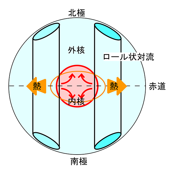 図3 外核のロール状流れの影響で、内核の中には赤道から極へ向かうような流れができると考えられる。外核に図のような流れがあると、赤道方向に熱が奪われる。そうすると内核は赤道方向に成長する。ところが重力があるために内核内には球に戻ろうとするような流れが出来る。