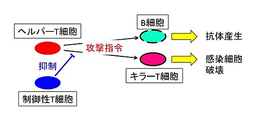 図1