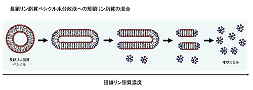 図3