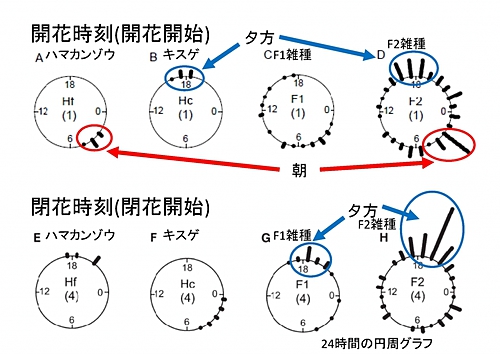 図3