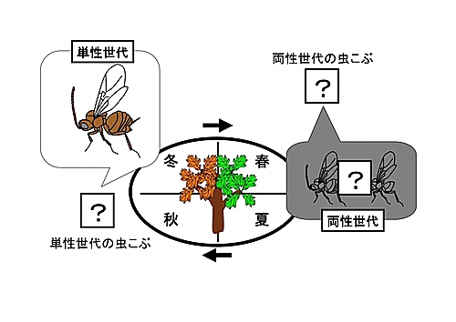 図2