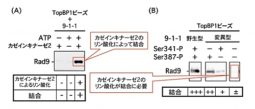 図3