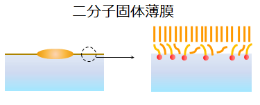 図2