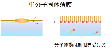 図4