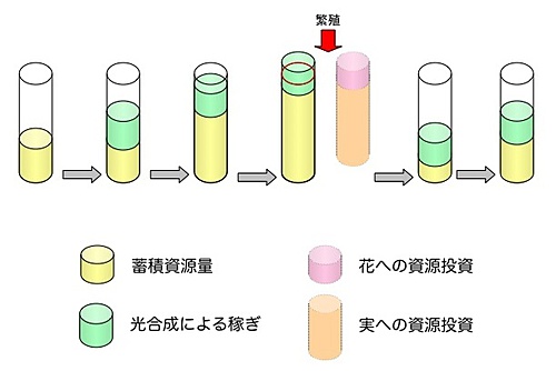 図1