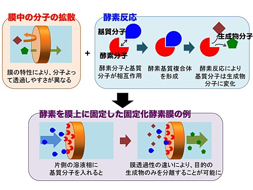 図1