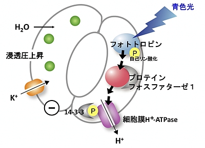 図1