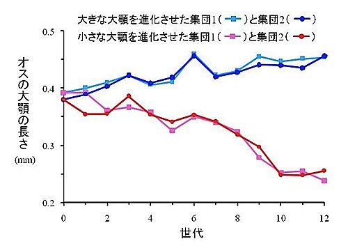 図2