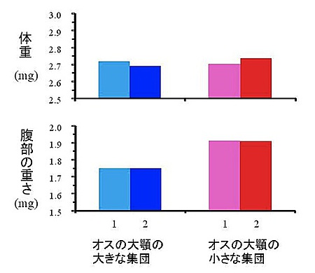 図4