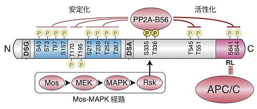 図3