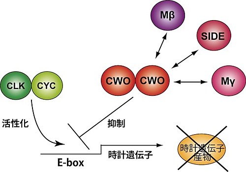 図3