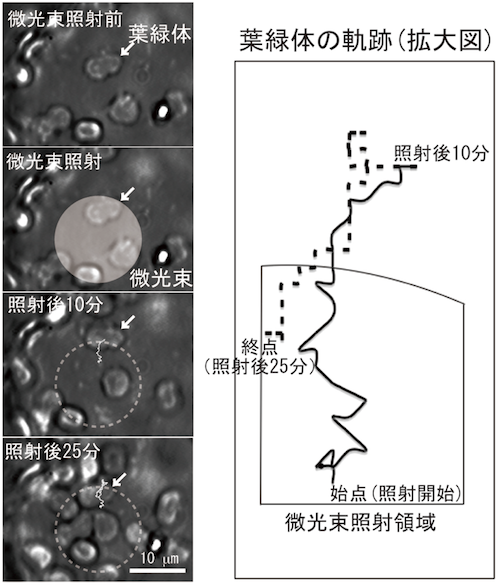 図1