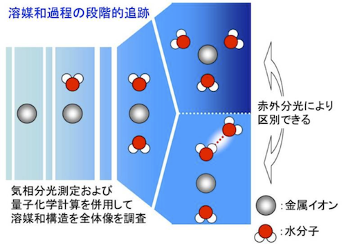 分子レベルで観るイオンと水 | 九州大学 理学研究院 理学府 理学部