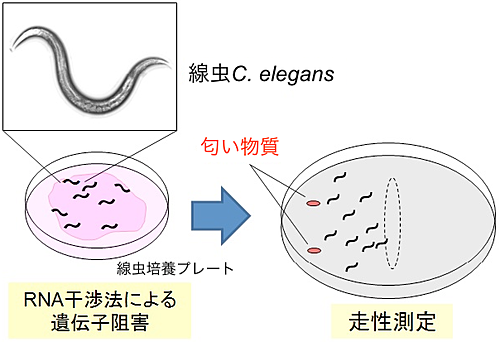 図1