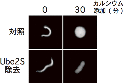 図2