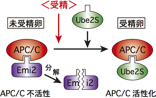 図3