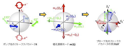 図1