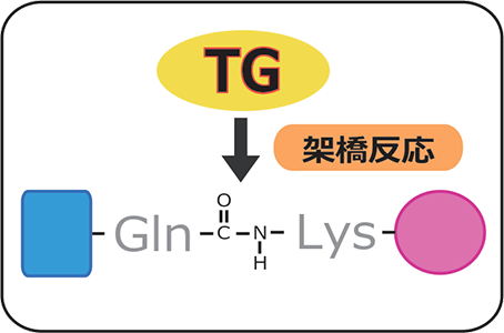 図1