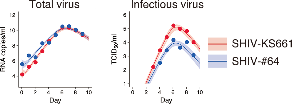 <dfn class="fig">図3</dfn>：<span class="qrinews-figure-title">実験データを用いたパラメータ推定</span>　点は高病原性株（赤）、低病原性株（青）それぞれの実験データで、シャーレ（培地）上での総ウイルス数、感染ウイルス数の時間変化をあらわす。実線が数理モデルの、コンピューター上での計算結果。<a href="#fig2"><cite class="fig">図2</cite></a>の微分方程式のパラメータの値を変えることで線の形が変わるので、あらゆる時間点のできるだけ近くを通る線になるようにパラメータ値を選ぶ。この作業を高病原性株と低病原性株のそれぞれについて行った。<a href="#app1" class="link-to-lower-part"><cite class="article"><span class="i">Iwanami et al</span>. (2017)</cite></a>の図を改変。