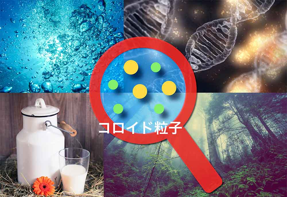 図1