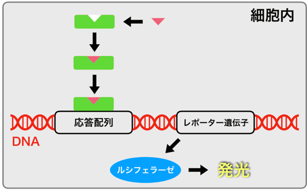 図6