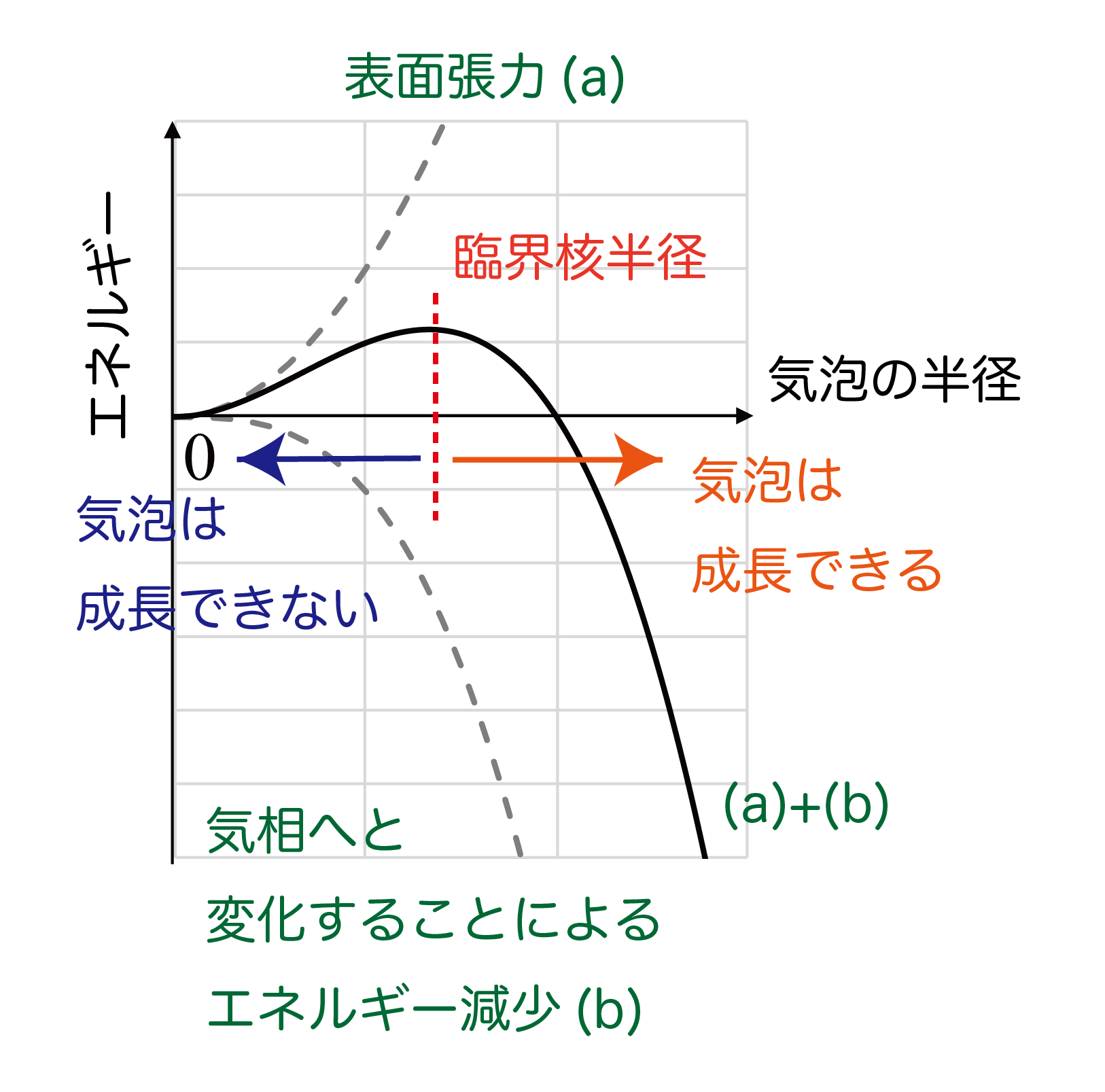 <dfn class="fig">図4</dfn>：<span class="qrinews-figure-title">気泡の大きさとエネルギーの関係</span>　このような球対称な核形成のタイプは、均質核形成と呼ばれる。グラフは西脇さんより提供。