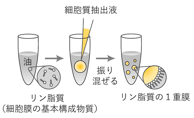 図3