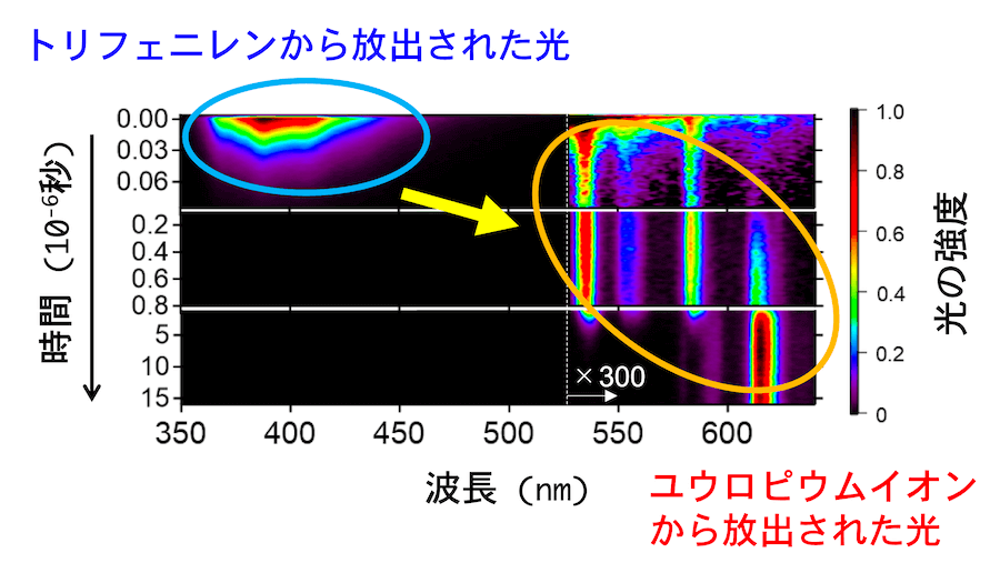 <dfn class="fig">図4</dfn>：<span class="qrinews-figure-title">三価ユウロピウム錯体の発光スペクトルの時間変化</span>　縦軸は光を照射した後の時間、横軸は波長であり、色は光の強度を表している。波長 530 nm 以上は、グラフの見やすさのために光の強度を 300 倍に増幅して表示されていることに注意。励起光の波長 267 nm は、このグラフの左側の範囲外にある。グラフは、<a href="#app1" class="link-to-lower-part"><cite class="article"><span class="i">Miyazaki et al</span>. (2020)</cite></a>と同様のものを、宮崎さんより提供。