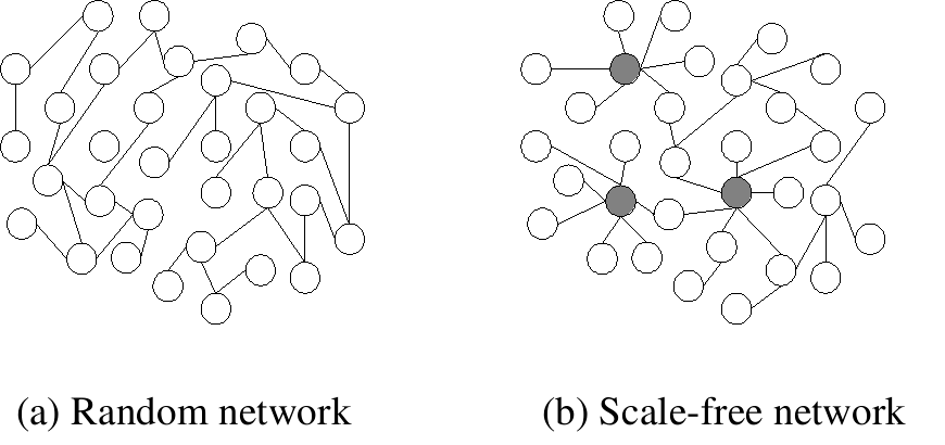 <dfn class="fig">図5</dfn>：<span class="qrinews-figure-title">様々なネットワークの例</span>　(a) ランダムネットワーク。1 つの丸 (ノードという) から伸びる腕 (エッジやリンクという) の数が、どのノードでもおおよそ同じ数になる。(b) スケールフリーネットワーク。エッジが一部のノード (灰色の丸で示されている) に集中する。インターネットや航空網がこれにあたると考えられている。<a href="https://commons.wikimedia.org/wiki/File:Scale-free_network_sample.png" class="link-to-external-page" target="_blank"><cite class="article"><span class="i">Wikimedia Commons</span></cite></a>より引用。