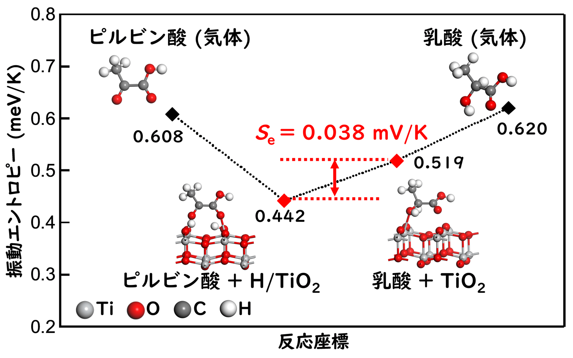 <dfn class="fig">図5</dfn>：<span class="qrinews-figure-title">計算化学によって求められた各状態の振動エントロピー</span>　酸化チタン (TiO<sub>2</sub>) 上にピルビン酸と水素が存在している状態と乳酸が存在している状態で大きなエントロピー差が生じており、このエントロピー差から計算したゼーベック係数の符号が実験値と一致することがわかった。図は江口さんより提供。