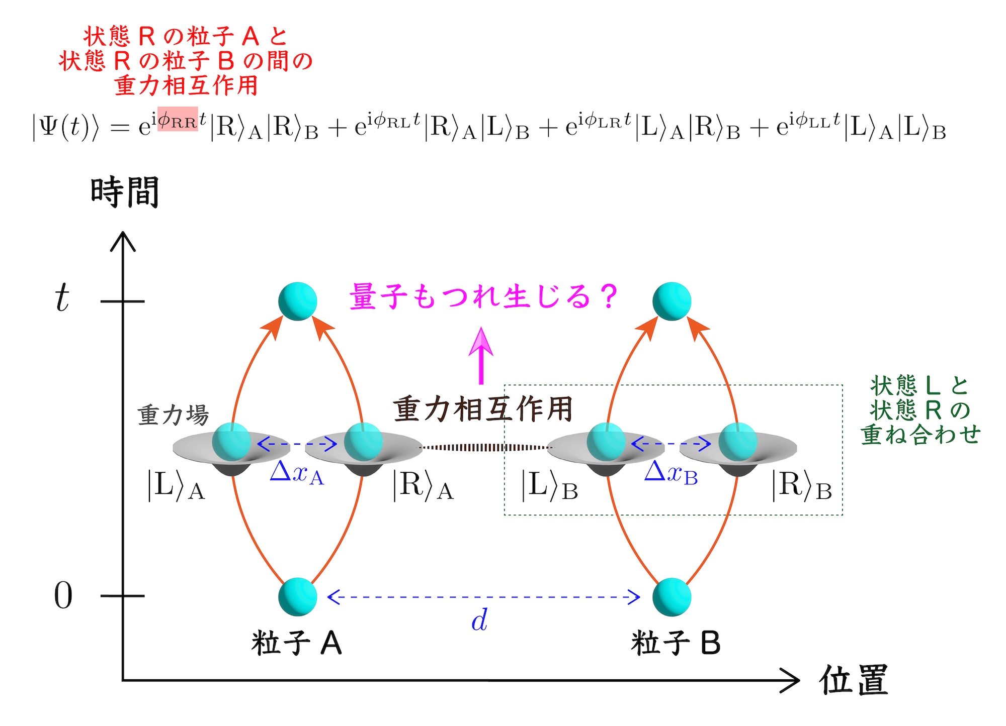 <dfn class="fig">図5</dfn>：<span class="qrinews-figure-title">BMV 実験</span>　粒子が左側に位置する (図中の状態 L) か、右側に位置する (図中の状態 R) かは観測するまで確定しない。重ね合わせ状態での重力相互作用により、2 つの粒子の間には量子もつれが生じる。