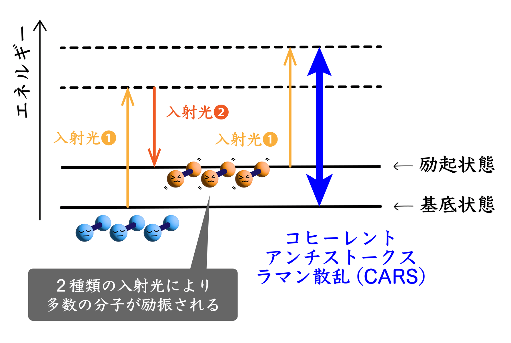 <dfn class="fig">図2</dfn>：<span class="qrinews-figure-title">コヒーレントアンチストークスラマン散乱 (CARS)</span>　2 種類の入射光の振動数の差を分子の固有振動数に近づけると、多数の分子が位相をそろえて振動するようになるため、高強度なアンチストークスラマン散乱を発生させることができる。