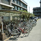 <span class="qrinews-figure-title">2010年4月14日 授業中</span>　前期が始まったので、学生さん(の自転車)が多いです。（撮影場所：<a href="http://maps.google.co.jp/maps?q=33.62559,130.42553+(2010/04/14)&amp;z=18" target="_blank">箱崎キャンパス</a>）