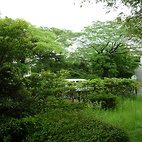 <span class="qrinews-figure-title">2010年5月10日 情報基盤室から</span>　雨に緑が映えます。（撮影場所：<a href="http://maps.google.co.jp/maps?q=33.626171,130.425755+(2010%2F05%2F10)&amp;z=18" target="_blank">箱崎キャンパス</a>）