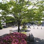 <span class="qrinews-figure-title">2010年6月3日 快晴</span>　日差しが強くなってきました。（撮影場所：<a href="http://maps.google.co.jp/maps?q=33.626944,130.422939+(2010/06/03)&amp;z=18" target="_blank">文系キャンパス</a>）