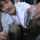<span class="qrinews-figure-title">2010年7月14日 磯田研究員</span>　アフリカツメガエルの採卵中です。（撮影場所：<a href="http://www.biology.kyushu-u.ac.jp/%7Ehassei/hassei_top_index.html" target="_blank">発生生物学研究室</a>）