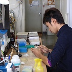 <span class="qrinews-figure-title">2010年11月17日 学部4年の杉野さん</span>　リン脂質の代謝に関与する新しい遺伝子の解析を行っています。（撮影場所：<a href="http://www.scc.kyushu-u.ac.jp/Seitaijouhou/index.html" target="_blank">生体情報化学研究室</a>）