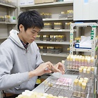 <span class="qrinews-figure-title">2011年1月20日 修士1年の松尾さん</span>　ショウジョウバエを用いた摂食制御機構の分子遺伝学的解析を行っています。（撮影場所：<a href="http://www.biology.kyushu-u.ac.jp/~animphys/index.html" target="_blank">動物生理学研究室</a>）