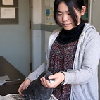 <span class="qrinews-figure-title">2011年2月18日 修士1年の森田さん</span>　カラスの貝落とし行動の個体による違いについて研究しています。（撮影場所：<a href="http://seibutsu.biology.kyushu-u.ac.jp/~ecology/lab/index.html" target="_blank">生態科学研究室</a>）