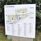 <span class="qrinews-figure-title">2011年3月24日 九州大学案内図</span>　以前のものより、とても見やすくなった九大の案内図です。近くに理学部の案内図もありました。（撮影場所：<a href="http://maps.google.co.jp/maps?q=33.626716,130.424830+(2011/03/24)&amp;z=18" target="_blank">理学部3号館周辺</a>）