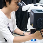<span class="qrinews-figure-title">2011年8月11日 修士2年の魚住さん</span>　線虫を用いて嗅覚神経でのRasの活性メカニズムについて研究しています。（撮影場所：<a href="http://www.biology.kyushu-u.ac.jp/~bunsiide/" target="_blank">分子遺伝学研究室</a>）