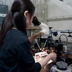 <span class="qrinews-figure-title">2011年9月30日 博士3年の川原さん</span>　海馬の神経回路の非対称性を形成するメカニズムについて研究しています。（撮影場所：<a href="http://www.biology.kyushu-u.ac.jp/~biophys/bukka.html" target="_blank">生体物理化学研究室</a>）