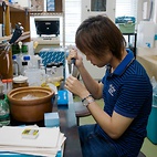 <span class="qrinews-figure-title">2011年10月5日 修士2年の森脇さん</span>　気孔の開閉に関わっている転写因子の機能の解明を目指しています。（撮影場所：<a href="http://plant.biology.kyushu-u.ac.jp/" target="_blank">植物生理学研究室</a>）