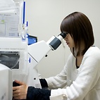 <span class="qrinews-figure-title">2012年1月13日 学部4年の白濱さん</span>　ペルオキシソームマトリックスタンパク質の品質管理機構の解明をめざして研究しています。（撮影場所：<a href="http://www.biology.kyushu-u.ac.jp/~taisha/" target="_blank">代謝生理学研究室</a>）