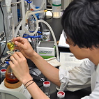 <span class="qrinews-figure-title">2012年7月24日 修士2年の三島さん</span>　多孔性金属錯体のメゾサイズ結晶の作成とゲスト応答性の評価を行っています。（撮影場所：<a href="http://www.scc.kyushu-u.ac.jp/Sakutaibussei/" target="_blank">錯体物性化学研究室</a>）