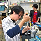 <span class="qrinews-figure-title">2012年8月29日 修士1年の池田さん</span>　カブトガニの体液凝固の阻害因子の機能解析をしています。（撮影場所：<a href="http://www.biology.kyushu-u.ac.jp/~biopoly/" target="_blank">生体高分子学研究室</a>）